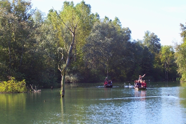 Bild 024.jpg - Eine geführte Kahnfahrt auf der verzweigten Flußlandschaft des Naturschutzgebietes Taubergießen